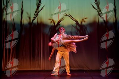 SHOW_00849.jpg